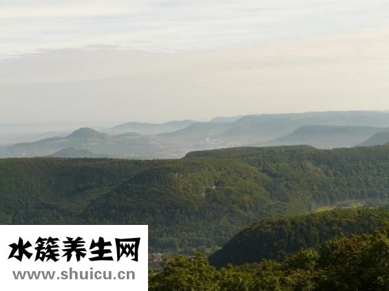 尿白蛋白高怎么回事