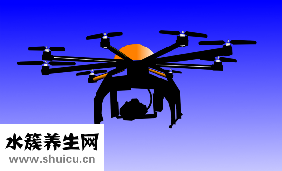 頭老次養怎么辦