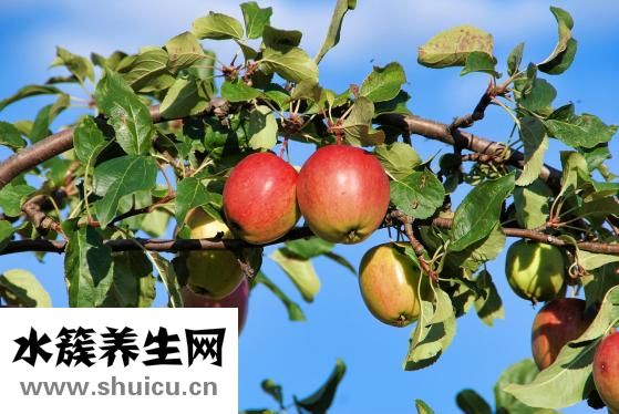 懷孕是怎么嘔吐