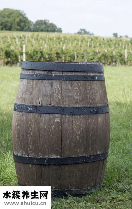 豬生病了怎么辦