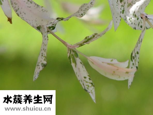 怎么利用風(fēng)水旺人脈