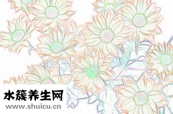 熟食怎么做服務(wù)上門