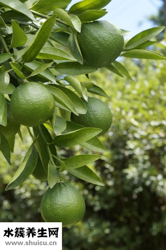 怎么會(huì)變黃色檸檬膏