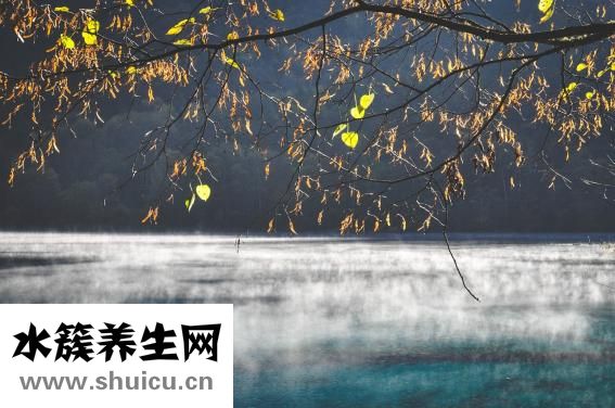 趙奕然九宮格怎么貼