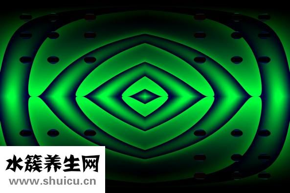 熟食怎么做服務(wù)上門