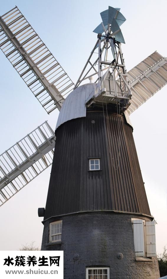 紅豆沙小丸子怎么搓