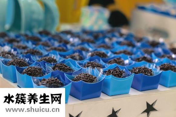 頭老次養怎么辦