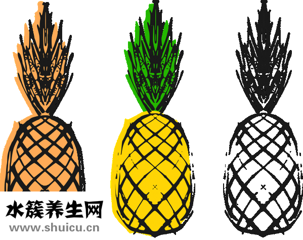 藥丸塑料球怎么封蠟