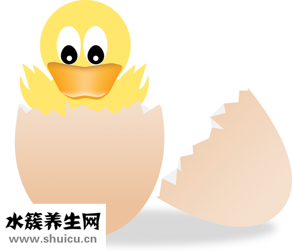 跳蛋怎么取出來