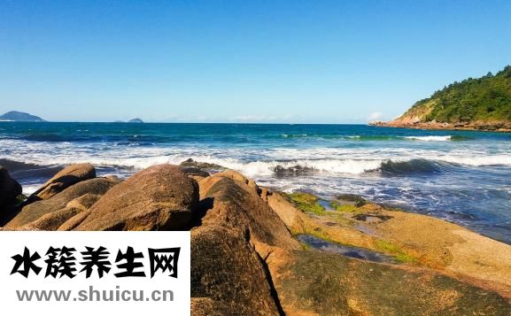 怎么把屁股瘦下來