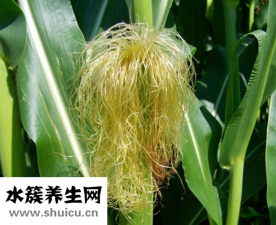 腸子干便秘怎么辦