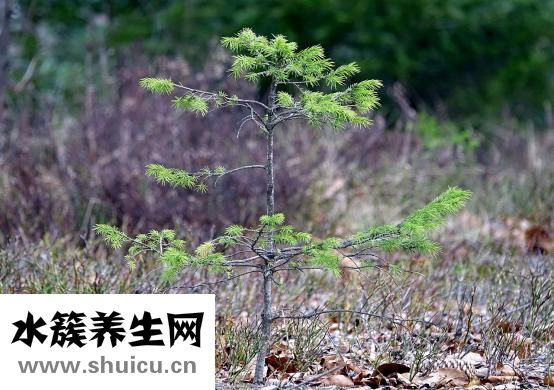 孩子內八字怎么糾正