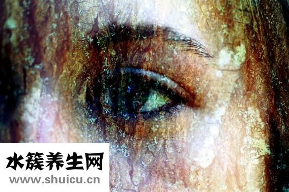 怎么辯別貓的好壞