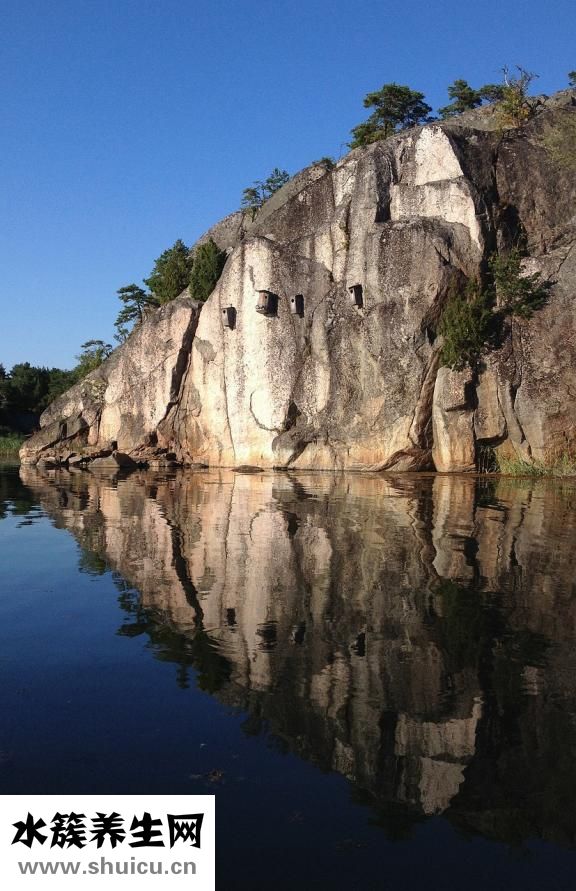 大豬生病了怎么辦