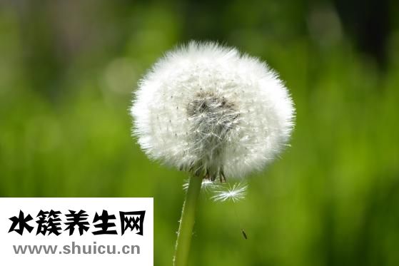 身體有寒怎么辦