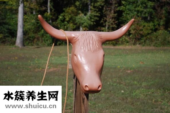 牛角梳摔壞了怎么修