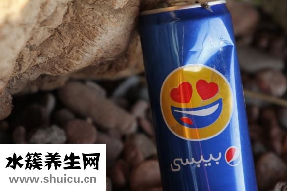 干蓮子怎么煮容易爛