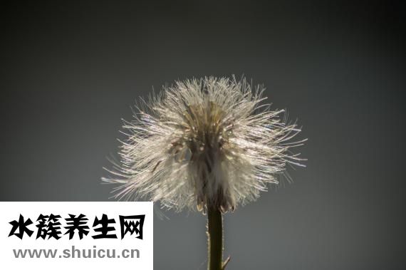 怎么滿足生理需求