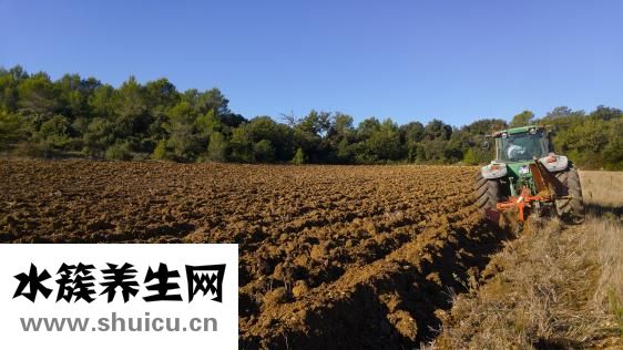 權健皮膚貼怎么用法