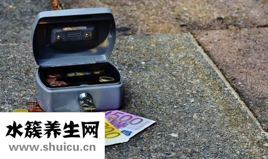 支付寶打的怎么用