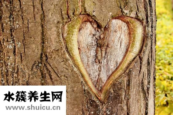 心臟有水是怎么回事