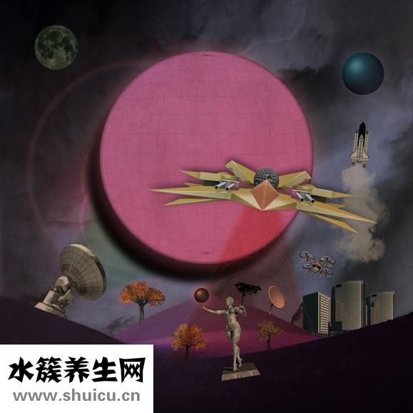 貓吐貓糧是怎么回事