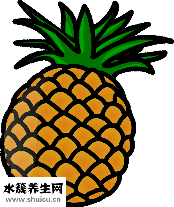 用錢怎么折菠蘿