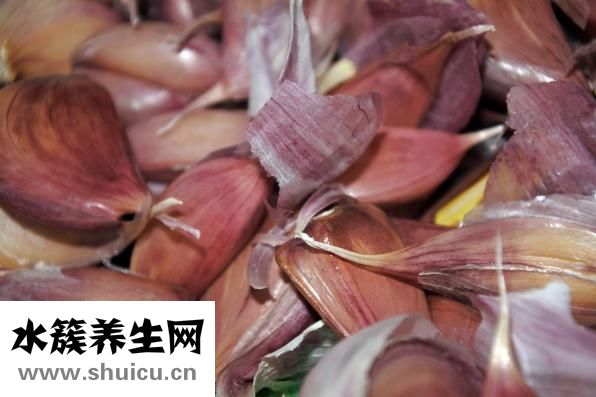 孔雀魚下崽了怎么辦