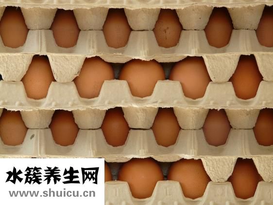 怎么帶便當(dāng)