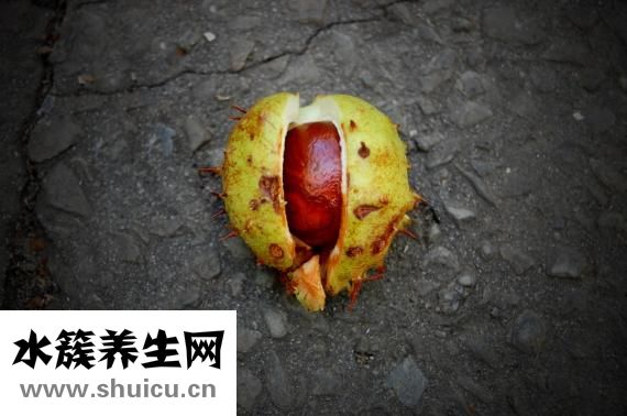 自己在家怎么做板栗