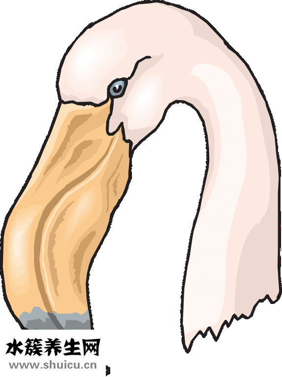 怎么檢查愛茲病