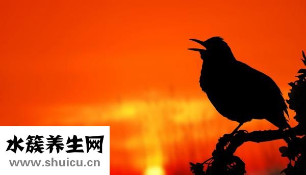 怎么利用經期減肥