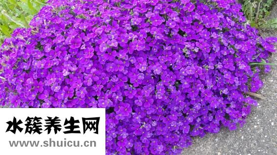 毛線墊子怎么做