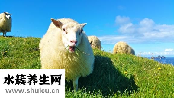 怎么吃男人的寶貝