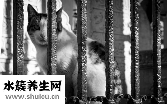 焊工閃眼怎么治療