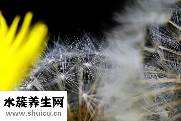 標婷濕粉怎么用