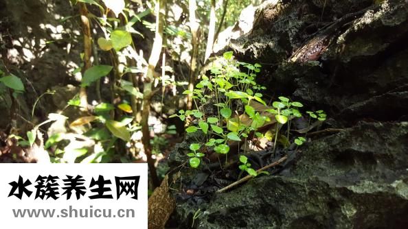 夏天流汗多怎么辦