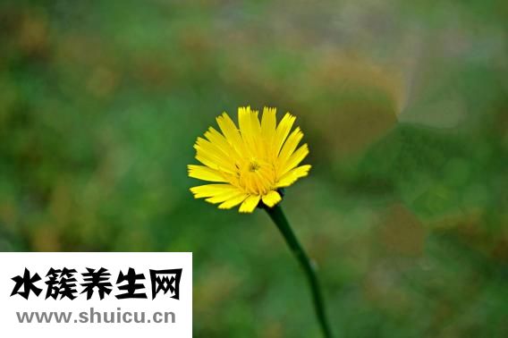 怎么知道自己是天命