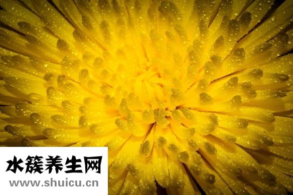 尿液深黃色怎么了