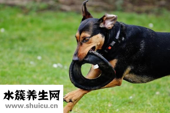 寶寶內向怎么辦