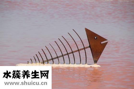 海魚干怎么是咸的