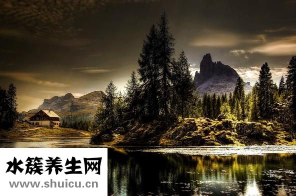 智力低下怎么辦