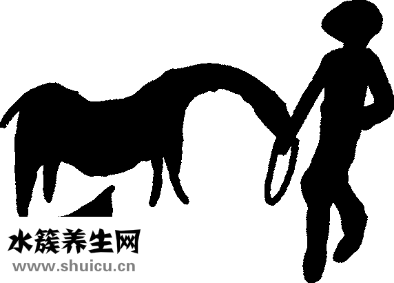 怎么喝白酒比較好