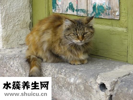 眼睛干澀發困怎么了