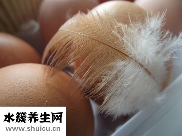 醋泡雞蛋怎么美容