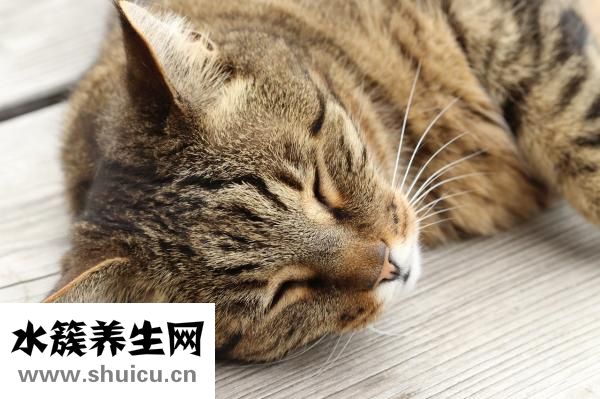 怎么滿足生理需求