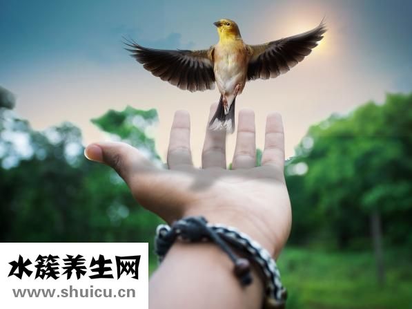 智力低下怎么辦