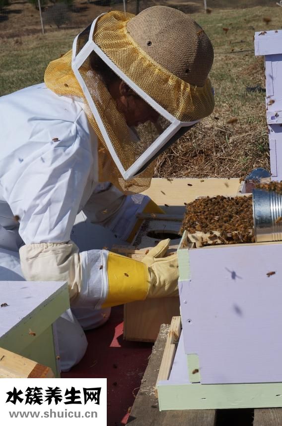 襯衣肩寬怎么改大