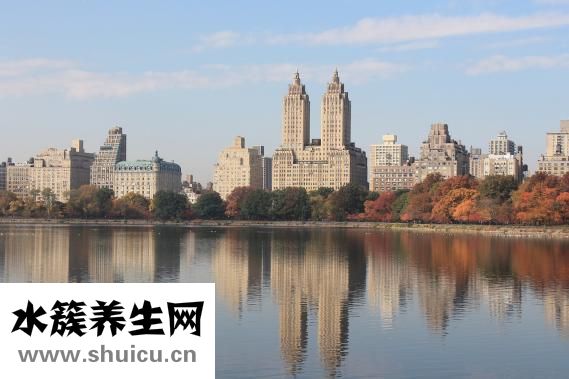 廣洲蒸粉怎么做