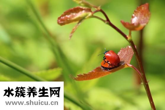 沒經驗怎么開服裝店